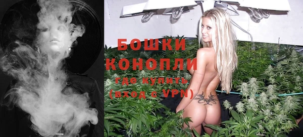 трава Ельня