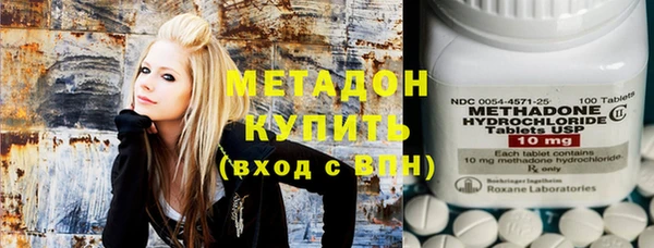 трава Ельня