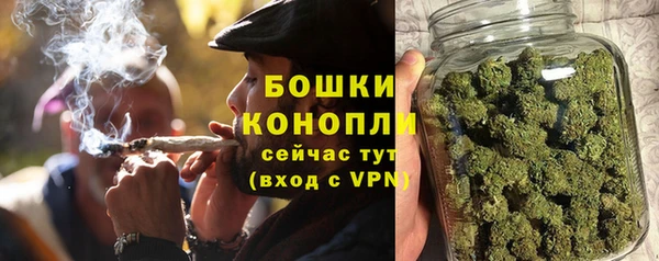 твердый Елизово