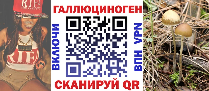 Псилоцибиновые грибы MAGIC MUSHROOMS  Чулым 